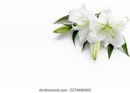 Trey Marian Accident Obituary Alabama, Death: 23-Year-Old Boy Died In Tragic Car Crash